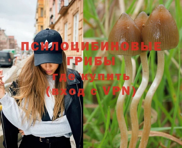 хмурый Зеленокумск