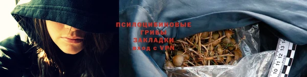 твердый Зерноград