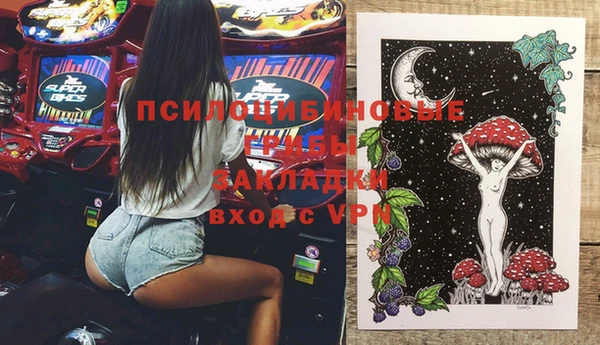 хмурый Зеленокумск