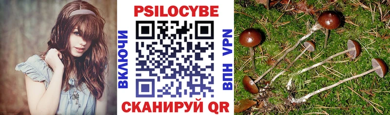 закладки  Черкесск  Галлюциногенные грибы GOLDEN TEACHER 